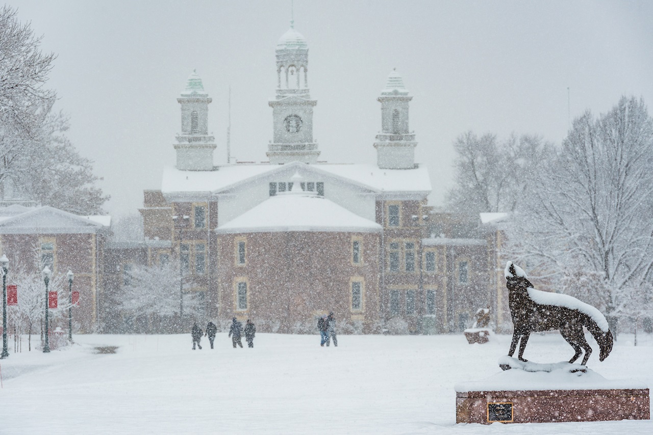 A photo of the USD campus on a winter day, with the coyote statue in the forefront of the photo and students in the background.