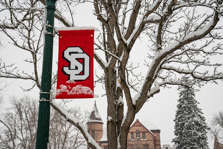 USD banner on campus, next to a snowy tree.