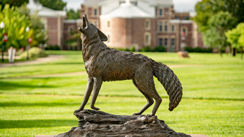 The bronze Coyote legacy statue sits on the sunny USD campus, with Old Main in the background.