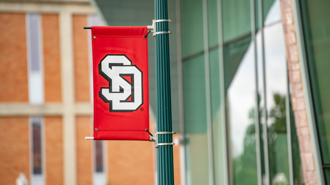 A photo of a bright red, vertical banner, with the USD logo, is attached to a lightpole.