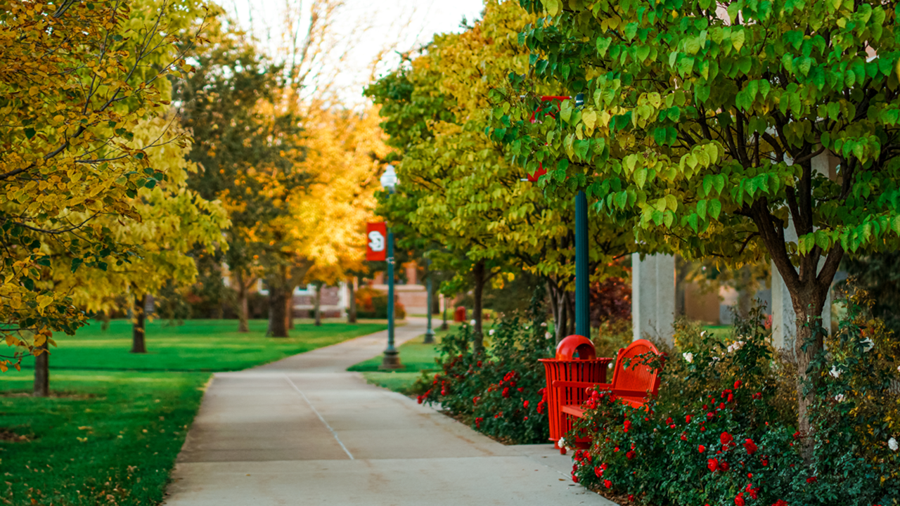 The bright, sunny USD campus on a sunny day with a red bench surrounded by flowers and green grass.