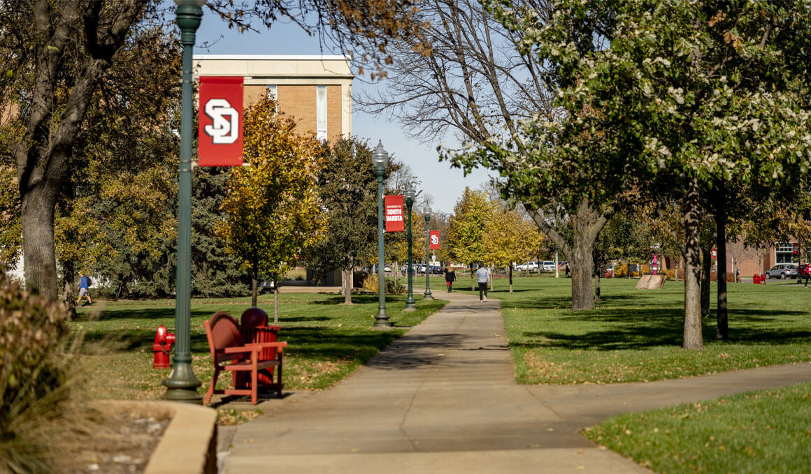 Tree-lined campus walkway with red benches and USD banners, students in the distance and a sunny, peaceful autumn atmosphere.