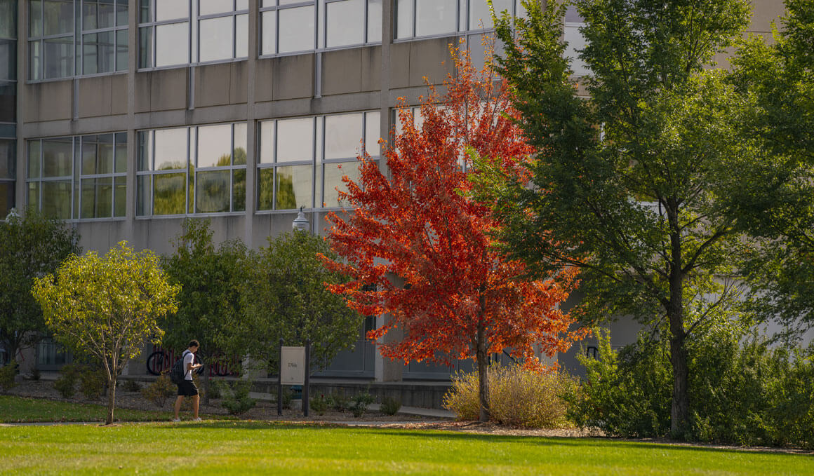 The I.D. Weeks library sits on the USD campus with large windows, framed by trees and landscaping, including a prominent bright red-orange autumn tree in the foreground. A student walks along the path beside a grassy lawn.