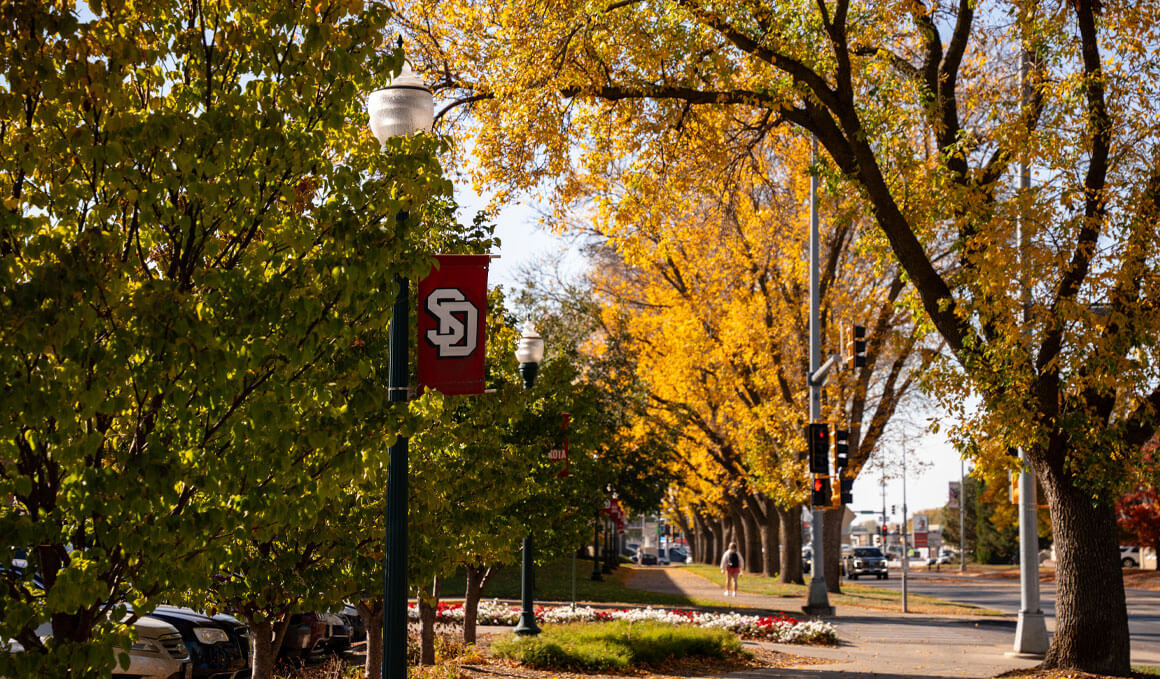 Golden autumn trees line a sunny campus street, framing a red USD banner and a sidewalk in a warm, peaceful scene.