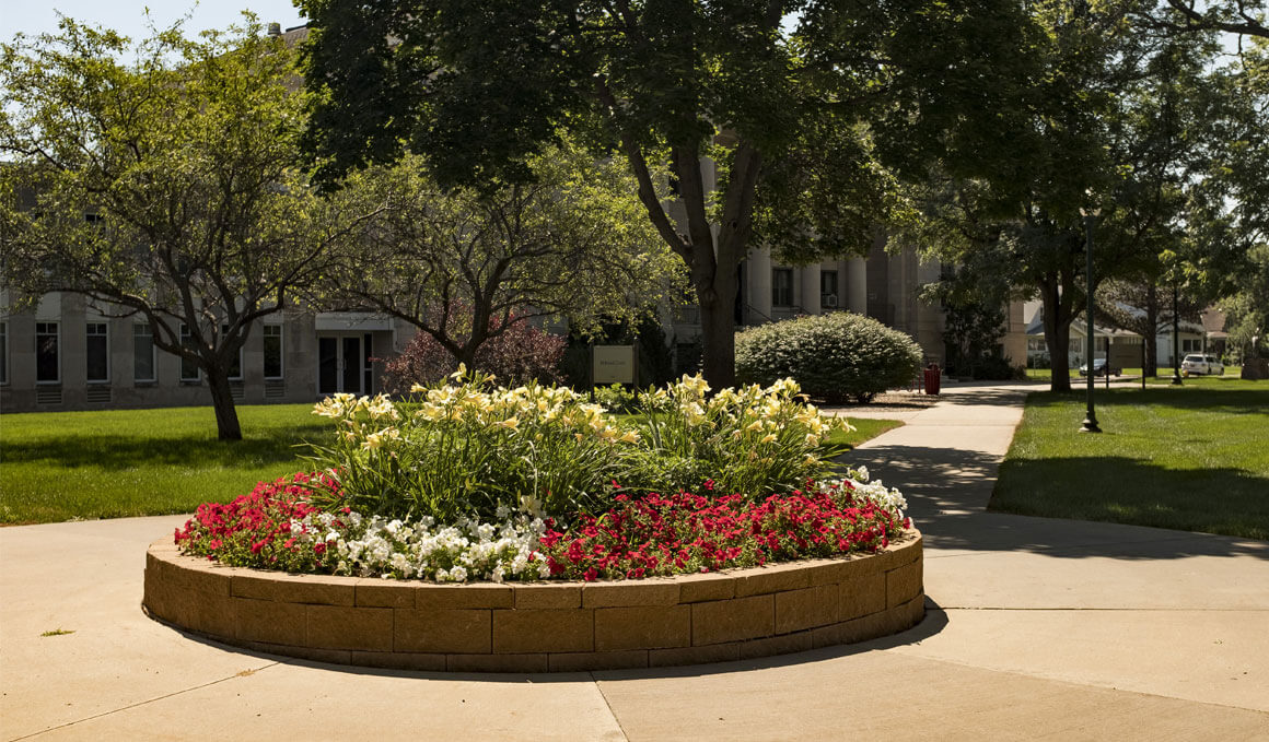 A landscaped campus walkway that features a circular flower bed filled with blooming white and red flowers, surrounded by trees and buildings in bright daylight. The College of Arts & Sciences building is slightly visible in the background.