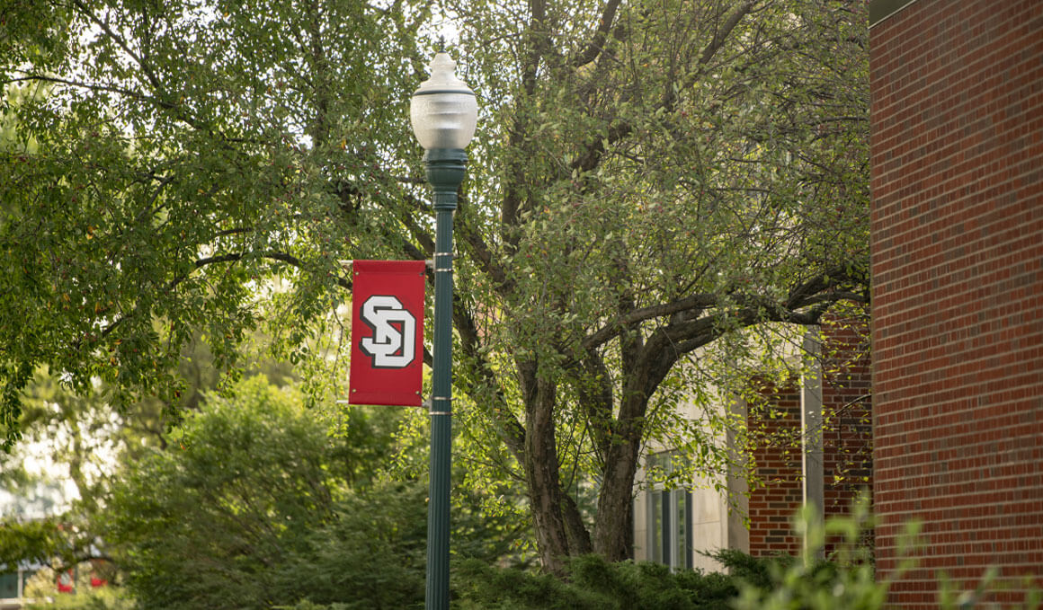 A red banner with a white USD logo hangs from a green lamppost, with trees and a brick building in the background.
