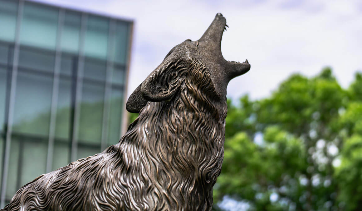 The Coyote Legacy statue sits on a partly cloudy USD campus, with a green tree and the Muenster University Center are visible in the background in addition to the cloudy sky.