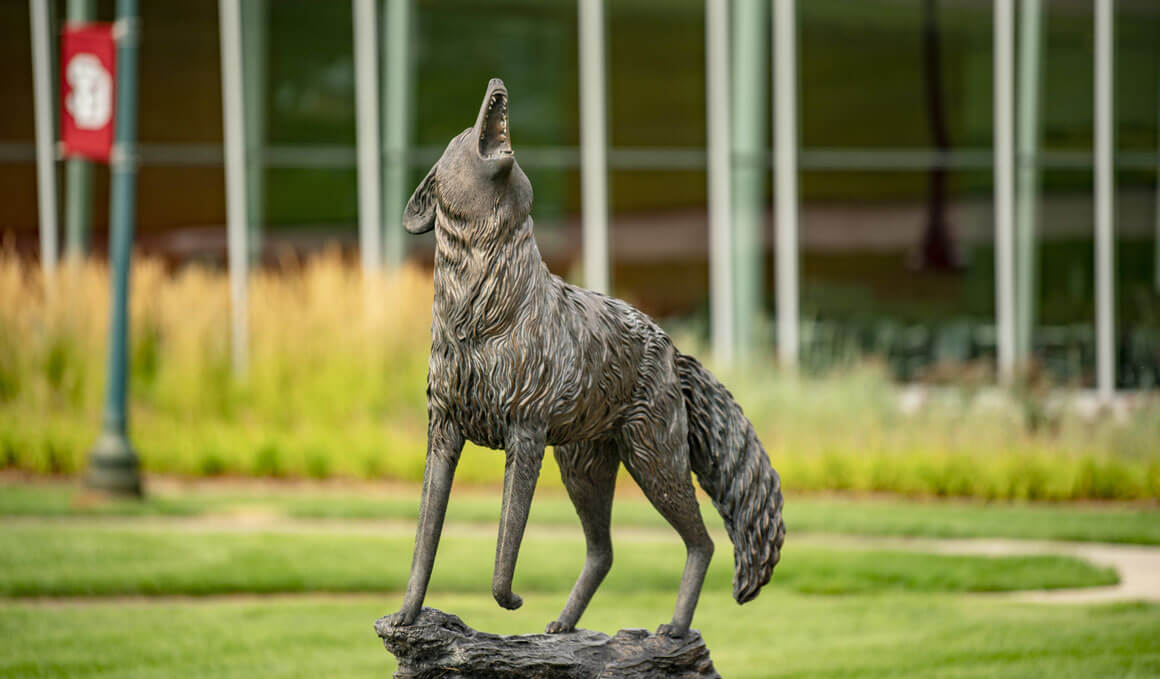 The bronze Coyote Legacy Statue sits on the sunny USD campus, with the Muenster University Center in the background, along with a light pole that has a red and white USD banner attached to it.