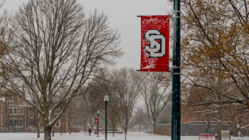 A red banner with an SD logo hangs on a light pole on USD's campus. There are bare trees covered in snow in the background.
