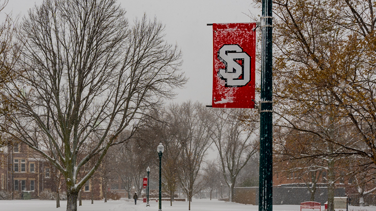 A red banner with an SD logo hangs on a light pole on USD's campus. There are bare trees covered in snow in the background.