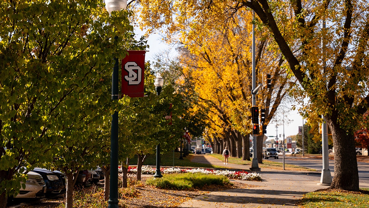 Trees in fall foliage line a sidewalk next to a street, with USD flags on light poles.