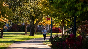 A student walks along a sidewalk surrounded by grass and trees in fall foliage, with a brick building obscured by the trees.