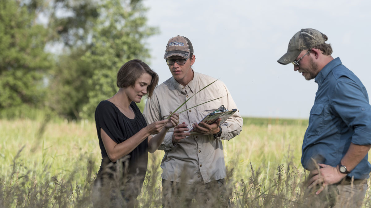 Three people stand in a prairie and observe various plants.