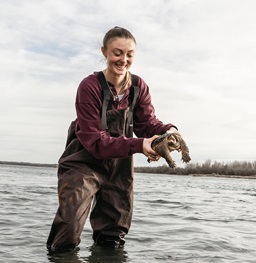 A girl holding a turtle doing research in the missouri river.