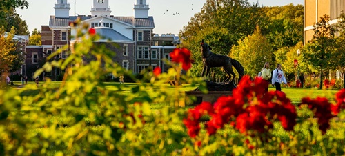 Old main in front of blossoming flowers.