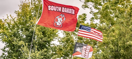 Flags blowing in the wind with trees in the background. Flags are USD, United States, and a sideways Coyotes flag.