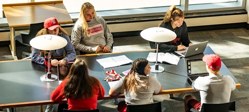 A top down view of students studying in the library together.
