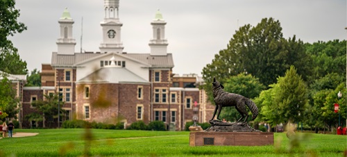 The old main lawn.