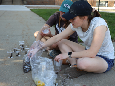 Two USD students sit on the sidewalk sorting plant seeds into cups.