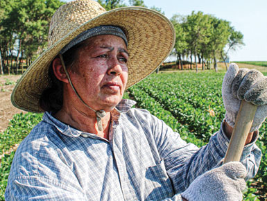 A woman wears a sun hat and works in a field. She is holding up a plant in her hands and observing it.