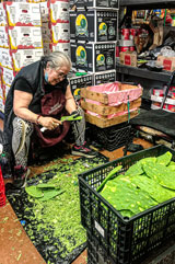A person sits in a room full of boxes and supplies and cuts up the leaves of plants.