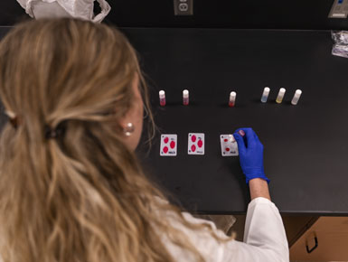An MLS student looks over their work in the lab