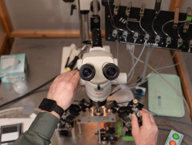 Aerial view of Burrell handling microscope on desk 