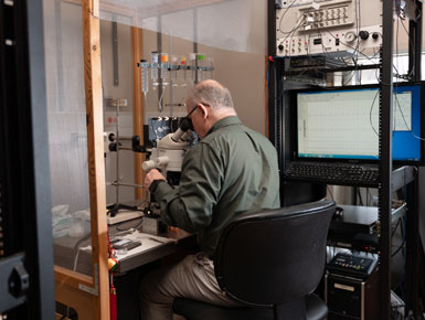 Neuroscience researcher looking in machine and standing at desk