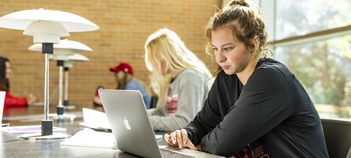 Students intently studying in the library