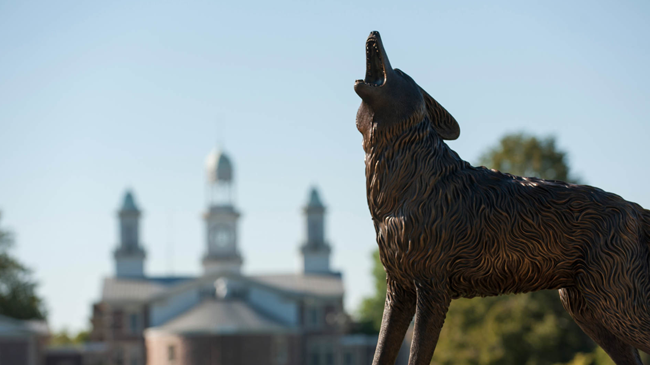 A close up of the Coyote Legacy statue that sits on the USD campus, in front of Old Main.
